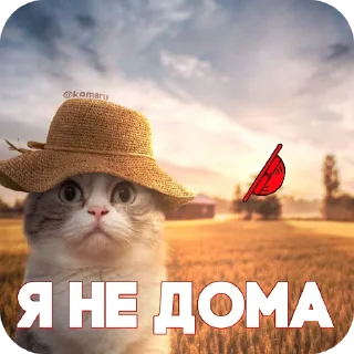 🎩 emoji Пираты > @ChatPirates1007 Telegram sticker 8 of 30