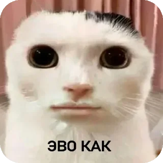 Sticker from Хзче