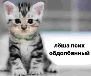 🌟 emoji Лёшка лох Telegram sticker 7 of 42