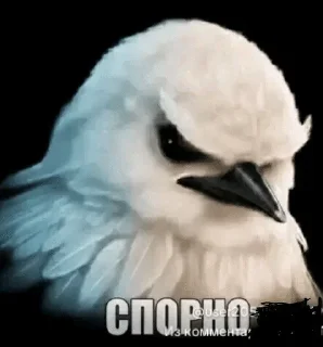 🌟 emoji вряд-ли Telegram sticker 19 of 90