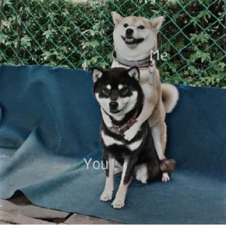 🫧 emoji Айм реал лайф,да Telegram sticker 12 of 12
