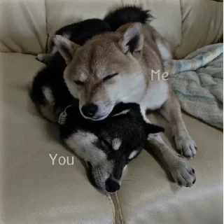 🌸 emoji Айм реал лайф,да Telegram sticker 11 of 12