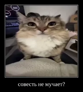 Sticker from Супер гифки и картинки крутые