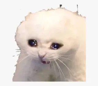 😂 emoji Cat mems Telegram sticker 11 of 13
