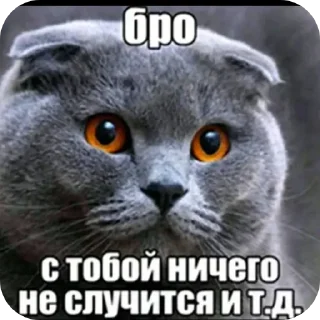 🐱 emoji @FULLSITION <- БОЛЬШЕ Telegram sticker 10 of 113