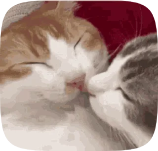 😚 emoji Больше стикеров тут: @MelStickers Telegram sticker 9 of 46