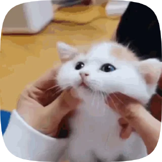 🥰 emoji Больше стикеров тут: @MelStickers Telegram sticker 6 of 46