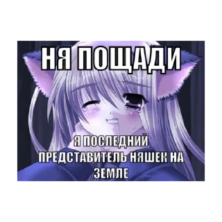 🫶 emoji nya Telegram sticker 8 of 115