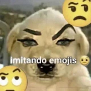🤨 emoji собаки нахуй Telegram sticker 10 of 37