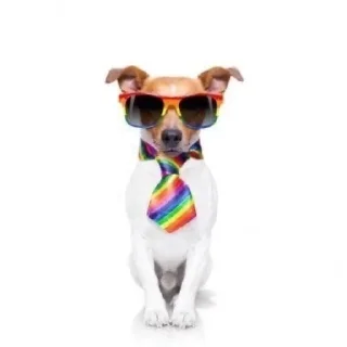 😎 emoji собаки нахуй Telegram sticker 17 of 37