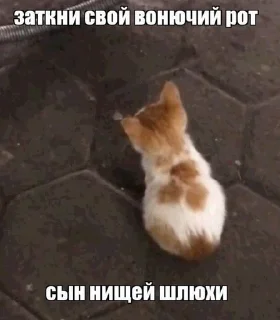 😁 emoji Хуйня для переговоров Telegram sticker 15 of 57