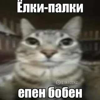 🌟 emoji НИХУЯСЕБЕ Telegram sticker 12 of 115