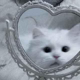 ☺️ emoji Котята Telegram sticker 19 of 21