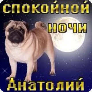 🌟 emoji рыжие и бесстыжие from krendel Telegram sticker 3 of 120