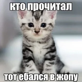 💌 emoji wem1xi соска Telegram sticker 16 of 30