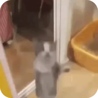 🌟 emoji Для Апреля Telegram sticker 15 of 16