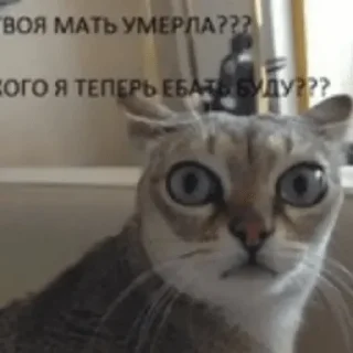 🤬 emoji Граф Telegram sticker 7 of 103