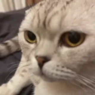 🌟 emoji письки трактора Telegram sticker 20 of 36