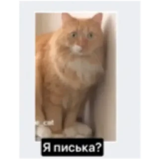 💚 emoji Письки Telegram sticker 9 of 10