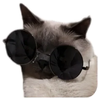 😎 emoji Коты Telegram sticker 11 of 78