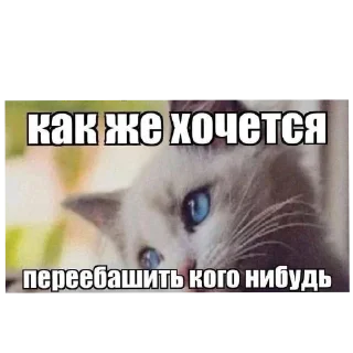 👍 emoji До @mishaaaaaa7 :: @QstickBot Telegram sticker 14 of 89