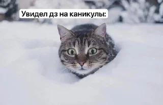 Sticker from Зимочка❄️