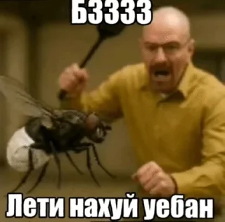 🌟 emoji Аутистический спектр :: @Dxnte9690 Telegram sticker 21 of 120