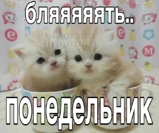 🌟 emoji Тупые котята Telegram sticker 6 of 64
