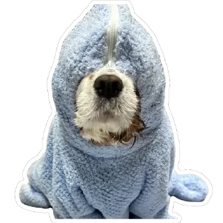 🙈 emoji Псинки Telegram sticker 17 of 26