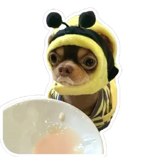 🍽️ emoji Псинки Telegram sticker 24 of 26