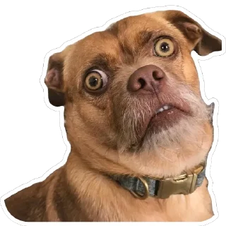 😧 emoji Псинки Telegram sticker 5 of 26