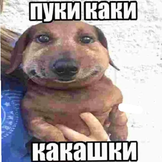 😄 emoji Серёга Telegram sticker 8 of 9