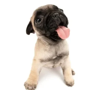 🐶 emoji babayka💗👾 Telegram sticker 6 of 31
