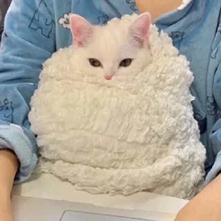 😕 emoji Мои любимки Telegram sticker 24 of 61