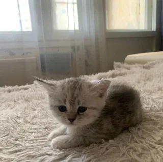 ❤️ emoji Lovely Telegram sticker 9 of 18