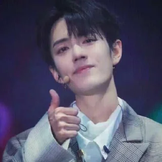 👍 emoji xiao zhan Telegram sticker 7 of 21
