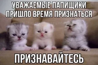 🌟 emoji каты Telegram sticker 12 of 35