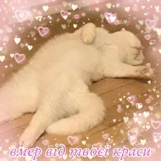 🌟 emoji лише українська
(юкіне) Telegram sticker 19 of 26