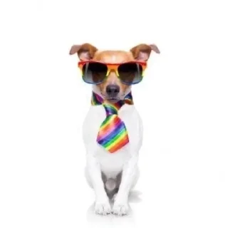 🐶 emoji Цепные псы режима Telegram sticker 18 of 119