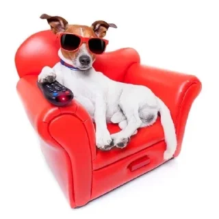 🪑 emoji Цепные псы режима Telegram sticker 11 of 119