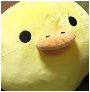 🌝 emoji Моя твоя не понимать Telegram sticker 13 of 73