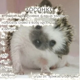 🦔 emoji игры от "понкис и админы" Telegram sticker 11 of 11