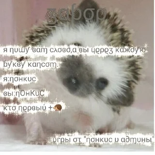 🦔 emoji игры от "понкис и админы" Telegram sticker 5 of 11