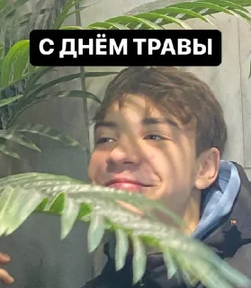🌿 emoji ПГС-57Д Telegram sticker 20 of 38