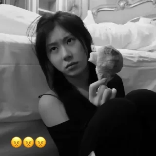 😠 emoji chaeryeong @kim1chr Telegram sticker 21 of 61