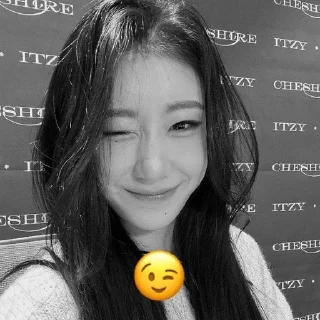 😉 emoji chaeryeong @kim1chr Telegram sticker 17 of 61