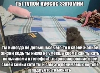 🤬 emoji я не токсик Telegram sticker 12 of 34