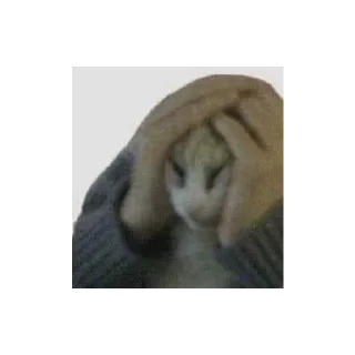 🙁 emoji Жмых Telegram sticker 11 of 20