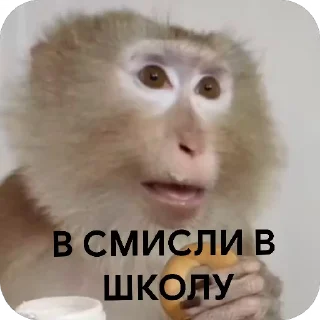 😮 emoji Бібізянки Telegram sticker 18 of 18