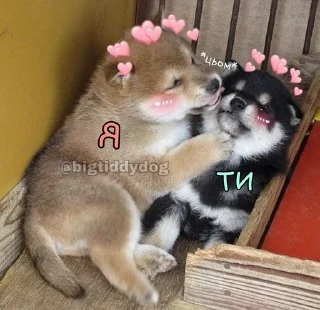 ❤️ emoji ฅ⁠^⁠•⁠ﻌ⁠•⁠^⁠ฅ Telegram sticker 17 of 59